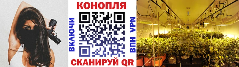Сколько стоит Гусь-Хрустальный Alpha PVP  МЕФ  Гашиш  Амфетамин  КОКАИН 