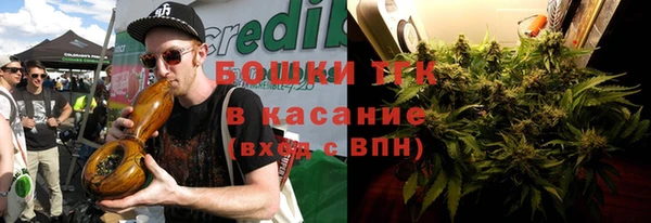 ешки Алексин
