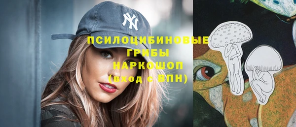 ешки Алексин