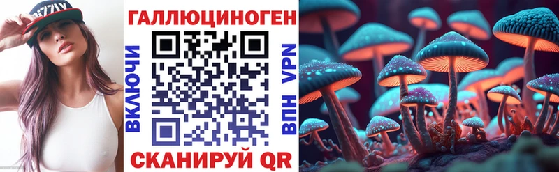 Галлюциногенные грибы Psilocybine cubensis  Гусь-Хрустальный 